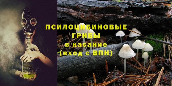 дурь Белокуриха