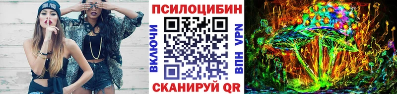 Галлюциногенные грибы Psilocybe  где купить наркоту  Городовиковск 